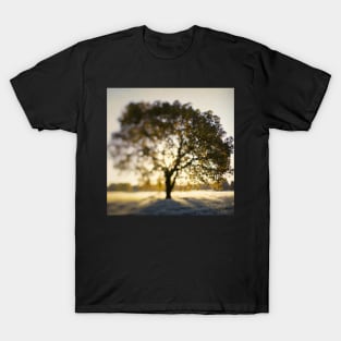 The Joy Tree T-Shirt